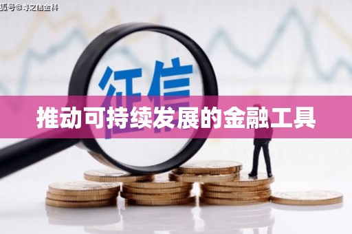 东川推动可持续发展的金融工具