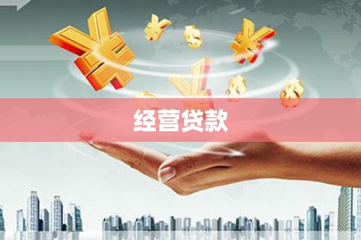 东川经营贷款