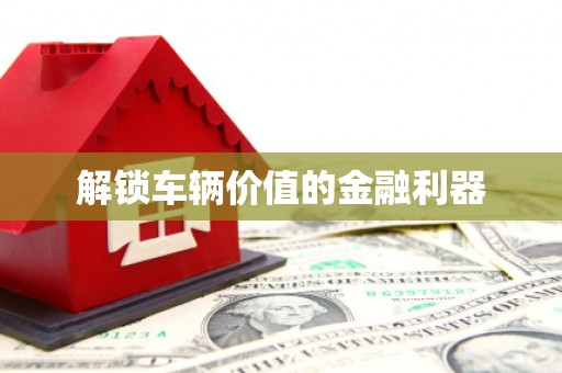 东川解锁车辆价值的金融利器