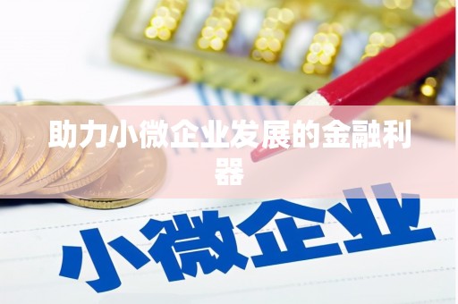 东川助力小微企业发展的金融利器