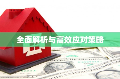 东川全面解析与高效应对策略