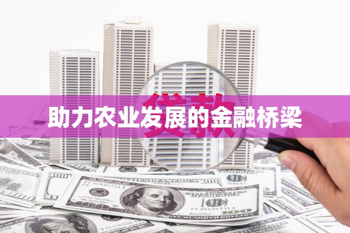 东川助力农业发展的金融桥梁